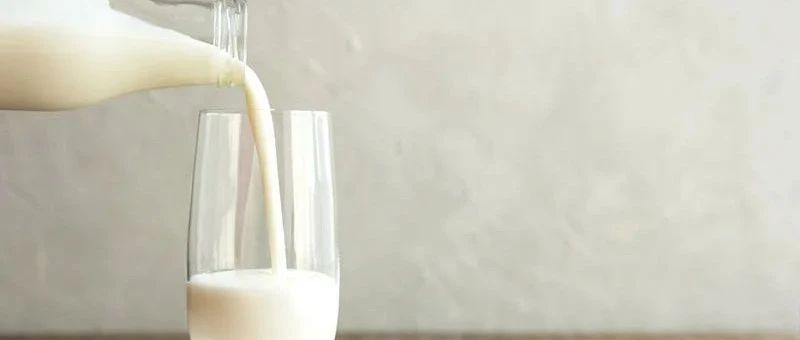 脱脂奶高钙奶舒化奶有机奶牛奶到底该如何选购？看完终于会挑了