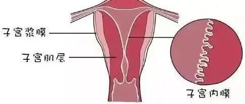 子宫内膜变薄是什么原因？有什么后果？